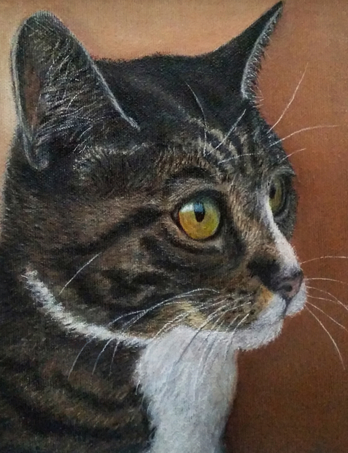 schilderij dieren kat