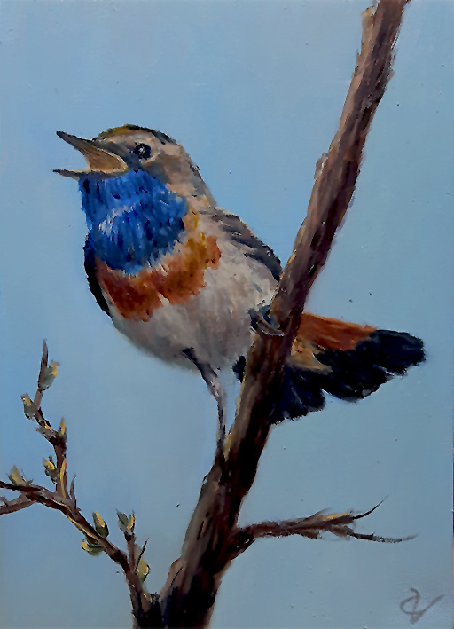 schilderij dieren vogel Blauwborst
