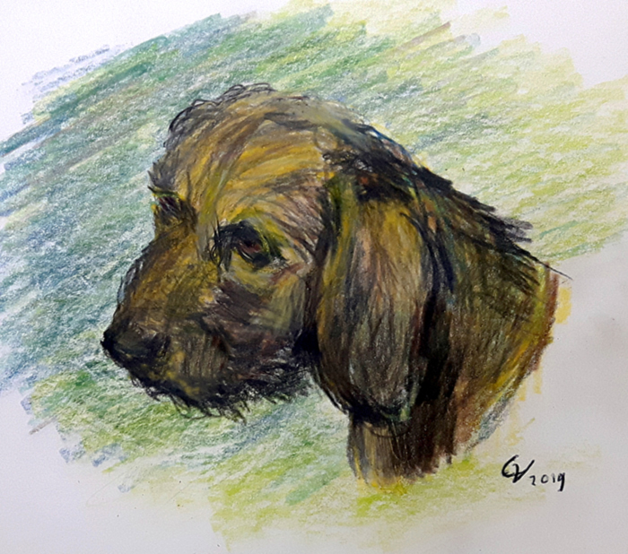 schilderij dieren hond potlood