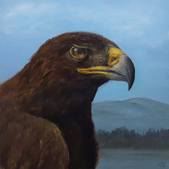 schilderij dieren vogel arend