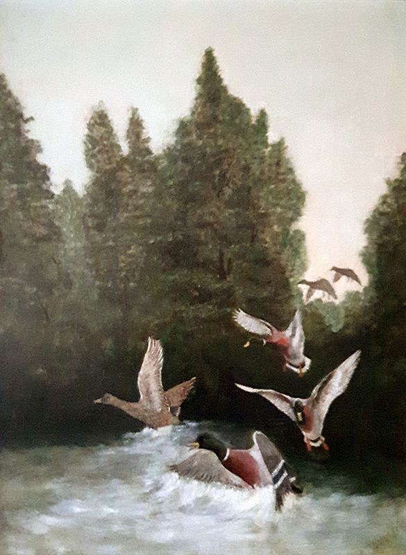 schilderij eenden meertje bos