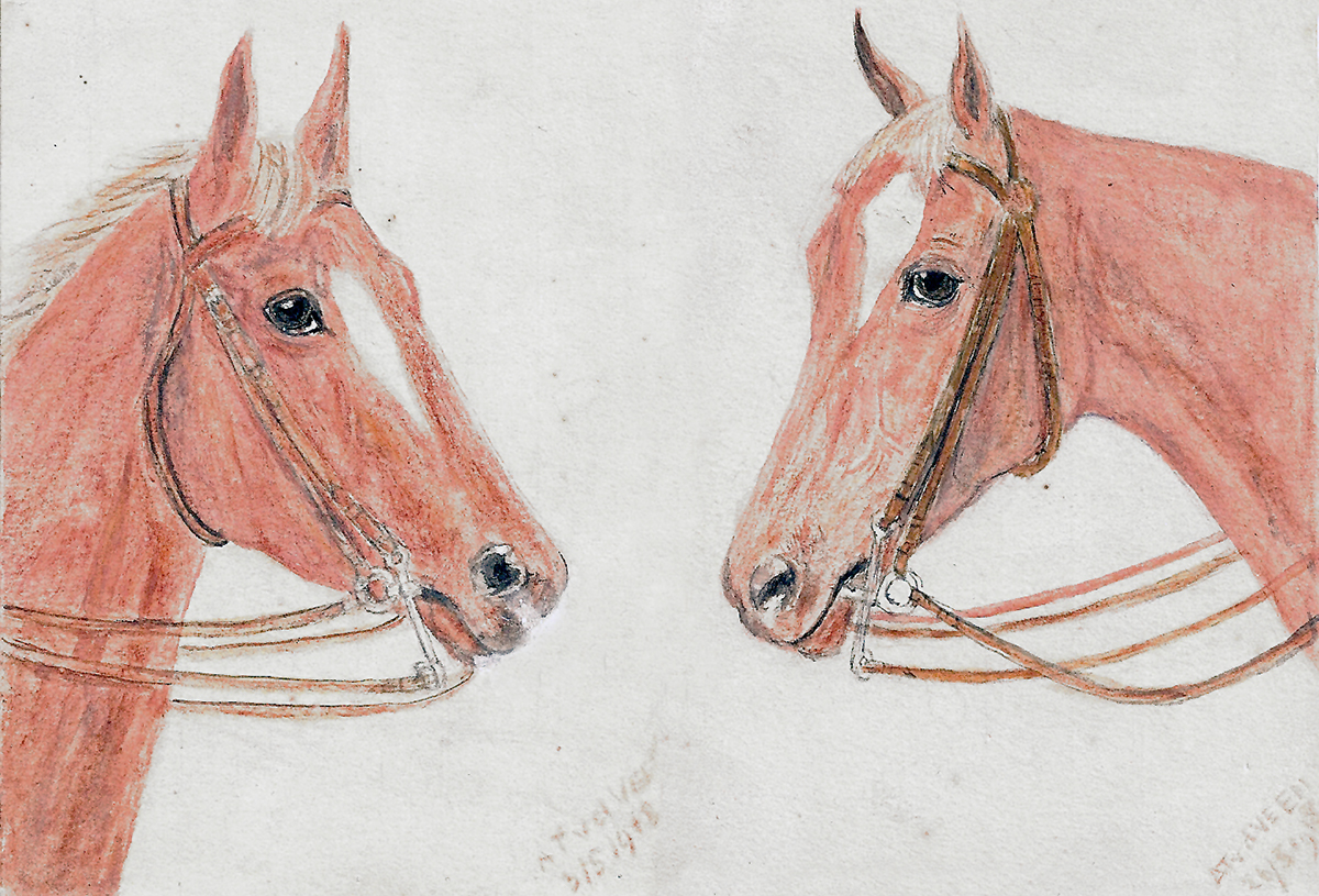 schilderij paard